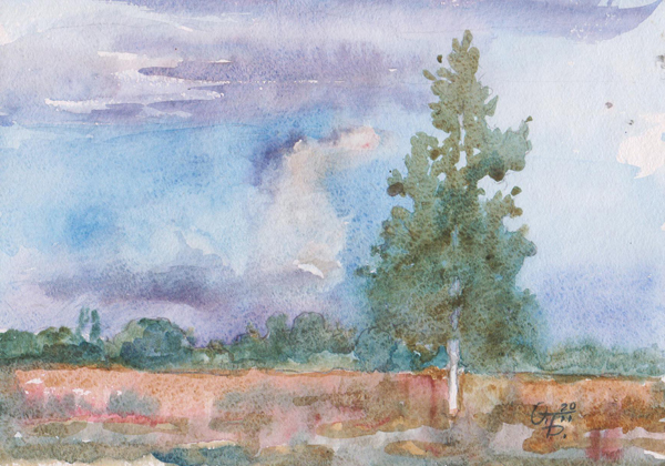 StoreGal/store/Watercolor/Birch Tree 16x12.jpg
